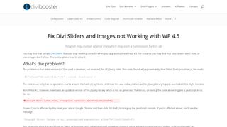 
                            10. Fix Divi Sliders and Images not Working with WP 4.5 | Divi Booster