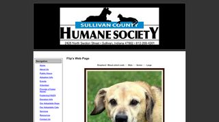 
                            12. Flip's Web Page - The Humane Society of Sullivan County, Indiana