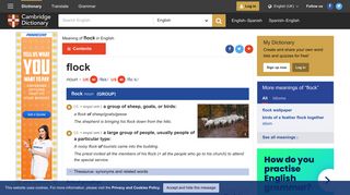 
                            7. FLOCK | meaning in the Cambridge English Dictionary