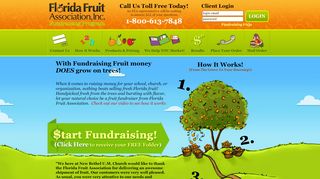 
                            6. Florida Fruit Association Fundraising