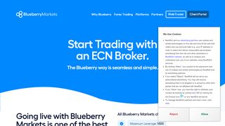 
                            10. Forex Account Types - Blueberry Markets