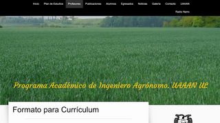 
                            13. Formato para Currículum - Programa Docente de Ingeniero Agrónomo ...