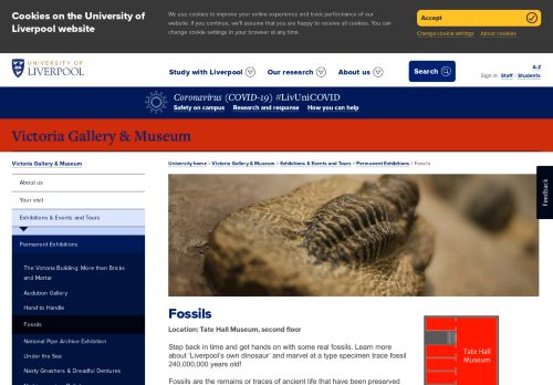 
                            12. Fossils - Victoria Gallery & Museum - University of Liverpool