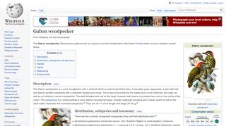 
                            13. Gabon woodpecker - Wikipedia