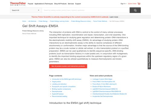 
                            13. Gel Shift Assays (EMSA) | Thermo Fisher Scientific - SA