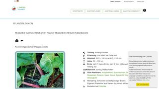 
                            5. Gemüse Pflanzen gute Nachbarn, Fruchtfolge, Mischkultur ... - gp24.net