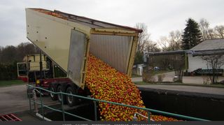 
                            10. Geschützter Bereich - Login - rapp gruenendeicher obstgroßhandel