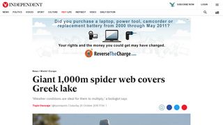 
                            11. Giant 1,000m spider web covers Greek lake | The Independent