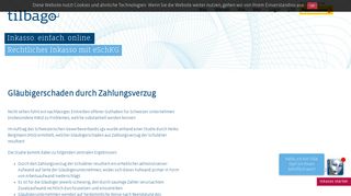 
                            2. Gläubigerschaden durch Zahlungsverzug - tilbago AG