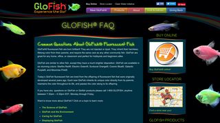 
                            1. GloFish® FAQ