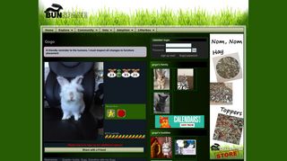 
                            11. Gogo's Bunny Profile on BunSpace.com