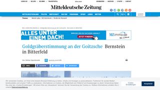 
                            3. Goldgräberstimmung an der Goitzsche : Bernstein in Bitterfeld | MZ.de