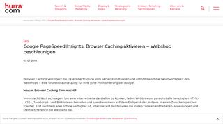 
                            1. Google PageSpeed Insights: Browser Caching aktivieren – Webshop ...