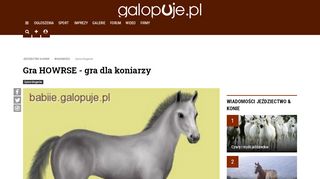 
                            13. Gra HOWRSE - gra dla koniarzy - jeździeckie, koni, zdjęcia, opinie