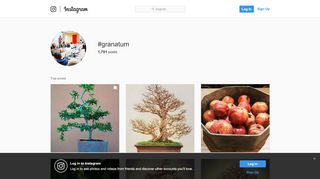 
                            11. #granatum hashtag on Instagram • Photos and Videos