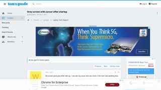 
                            5. Grey screen with cursor after startup | Tom's Guide Forum