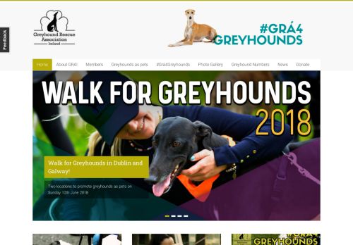 
                            12. Greyhound Rescue Association Ireland