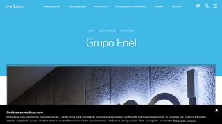 
                            9. Grupo Enel - Multinacional energía - Endesa - endesa.com