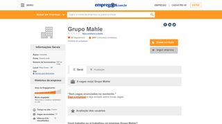 
                            6. Grupo Mahle - O que fazemos e Trabalhe conosco | Empregos.com.br