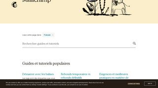 
                            3. Guides et tutoriels - MailChimp