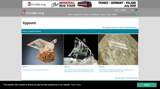 
                            8. Gypsum: Mineral information, data and localities. - Mindat.org