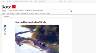 
                            12. Haie und Rochen im Zoo Zürich | Panorama | Bote der Urschweiz