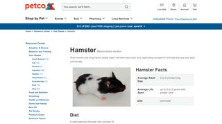 
                            10. Hamster Care: How to Take Care of a Hamster | Petco