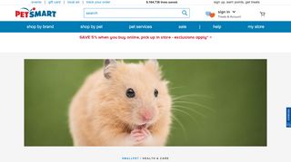 
                            9. Hamster Care Sheet & Guide | PetSmart