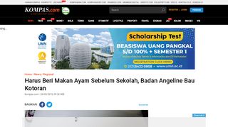 
                            13. Harus Beri Makan Ayam Sebelum Sekolah, Badan Angeline Bau ...