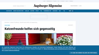 
                            11. Haustiere: Katzenfreunde helfen sich gegenseitig - Nachrichten ...