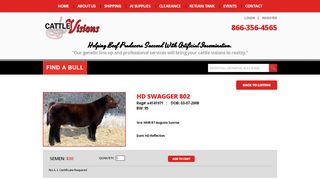 
                            13. HD Swagger 802 • Cattle Visions • Premier Multi-Breed ...