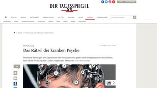 
                            10. Hirnforschung: Das Rätsel der kranken Psyche - Wissen ...