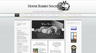 
                            10. House Rabbit Society | Buy a Bunny a Little Time