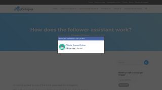 
                            10. How does the follower assistant work? - bloggeroctopus