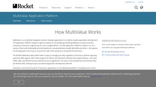 
                            7. How MultiValue Works | Rocket Software