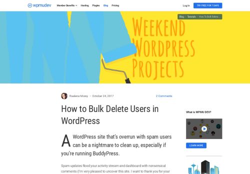 
                            10. How to Bulk Delete Users in WordPress - WPMU DEV