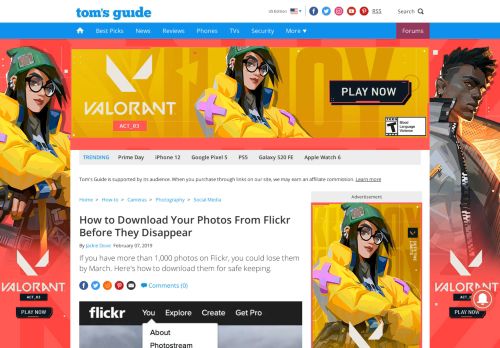 
                            12. How to Download Your Photos From Flickr Before They Disappear