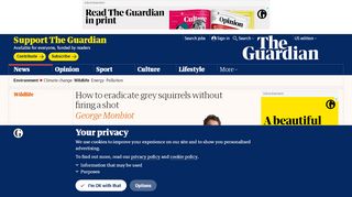 
                            9. How to eradicate grey squirrels without firing a shot | George ...