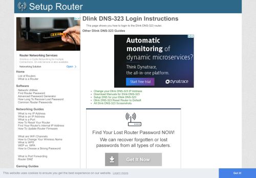 
                            2. How to Login to the Dlink DNS-323 - SetupRouter
