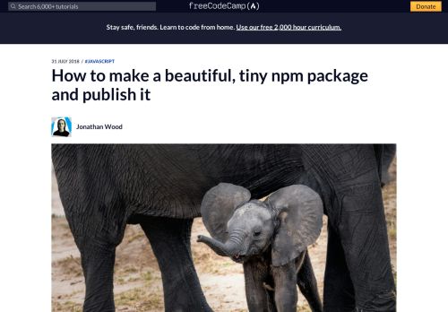 
                            11. How to make a beautiful, tiny npm package and publish it