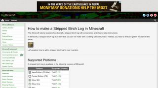 
                            9. How to make a Stripped Birch Log in Minecraft