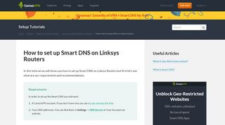 
                            9. How to set up Smart DNS on Linksys Routers | CactusVPN