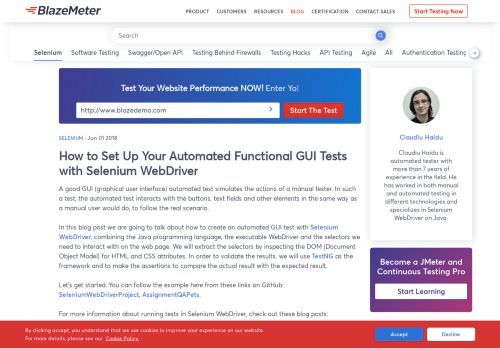 
                            13. How to Set Up Your Automated Functional GUI Tests with Selenium ...