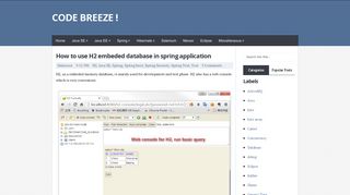 
                            10. How to use H2 embeded database in spring application | Code Breeze !