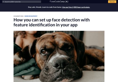 
                            6. How you can set up face detection with feature identification in your app