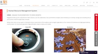 
                            3. Human Resource Management System - Megasoft Solutions