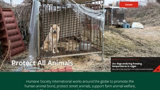 
                            10. Humane Society International