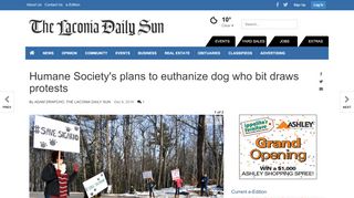 
                            11. Humane Society's plans to euthanize dog who bit draws protests ...