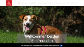 
                            10. Hunde aus Ungarn, Tiervermittlung Solingen, Adoption Hund