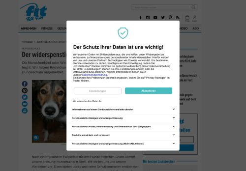 
                            9. Hundeschule: Der widerspenstigen Zähmung - FIT FOR FUN